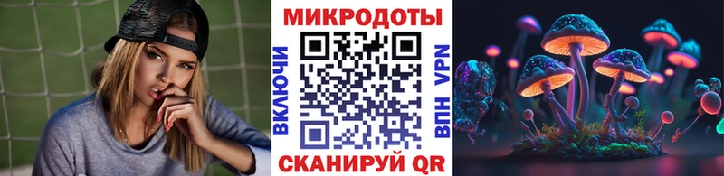 Купить закладки  Долгопрудный  Псилоцибиновые грибы Psilocybine cubensis 