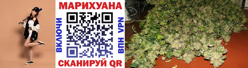 Канабис ГИДРОПОН  Купить где  Долгопрудный 